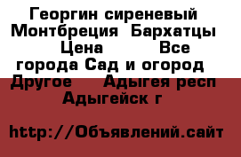 Георгин сиреневый. Монтбреция. Бархатцы.  › Цена ­ 100 - Все города Сад и огород » Другое   . Адыгея респ.,Адыгейск г.